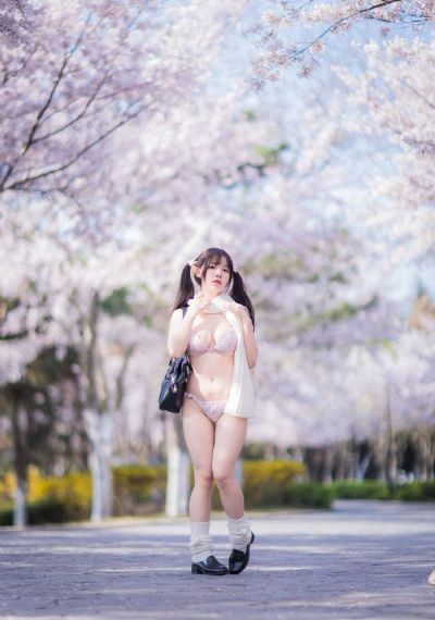 斗贼电视剧免费观看_BD国语全集免费播放